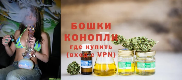 прущие грибы Белокуриха