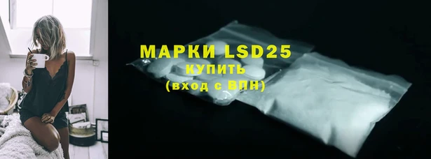 прущие грибы Белокуриха