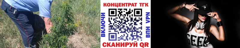 ТГК жижа  Купить закладки  Полярный 